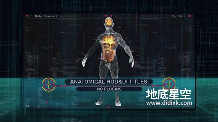 AE模板-科技感人体解刨学大脑肝肺肠器官医疗元素动画 Anatomical HUD UI Titles