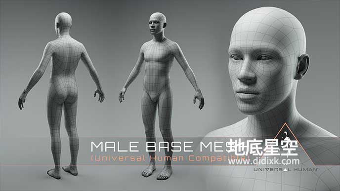 3D模型-男性身体3D模型 Universal Human Male Base Mesh v2.1